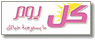 موقع كل يوم
